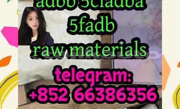 Medium with watermark 11