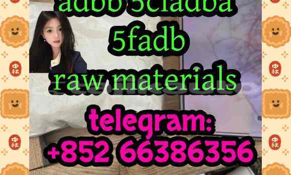 Medium with watermark 14