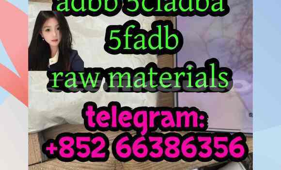 Medium with watermark 15