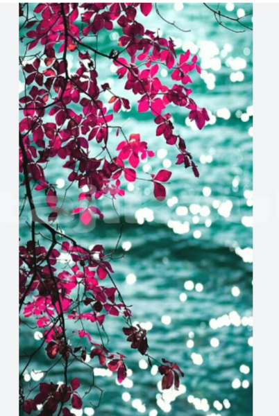 Big with watermark annotation 2026 06 26 072933