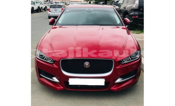 Buy Import Jaguar XE Red Car in Import - Dubai in Dushanbe