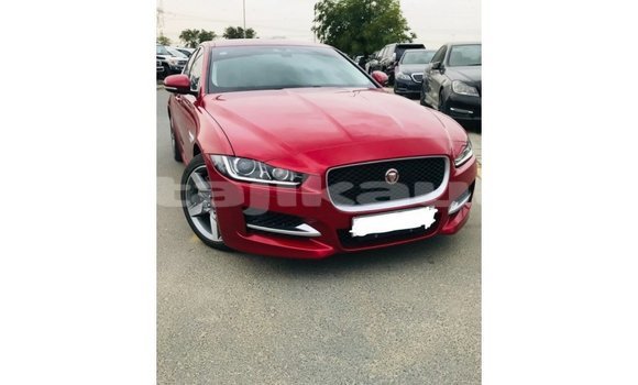 Buy Import Jaguar XE Red Car in Import - Dubai in Dushanbe Buy Import Jaguar XE Red Car in Import - Dubai in Dushanbe