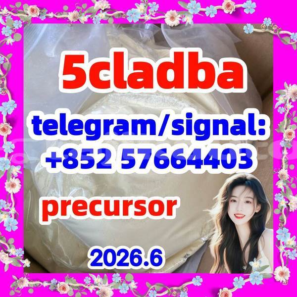 Big with watermark 55