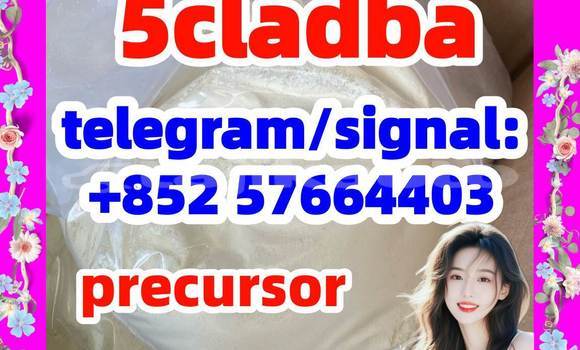 Medium with watermark 55