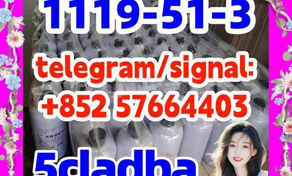 Medium with watermark 51