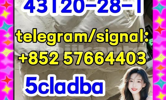 Medium with watermark 511