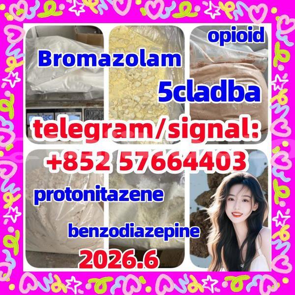 Big with watermark z2