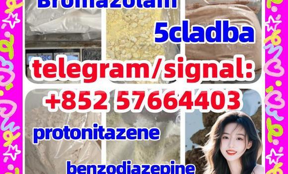 Medium with watermark z2