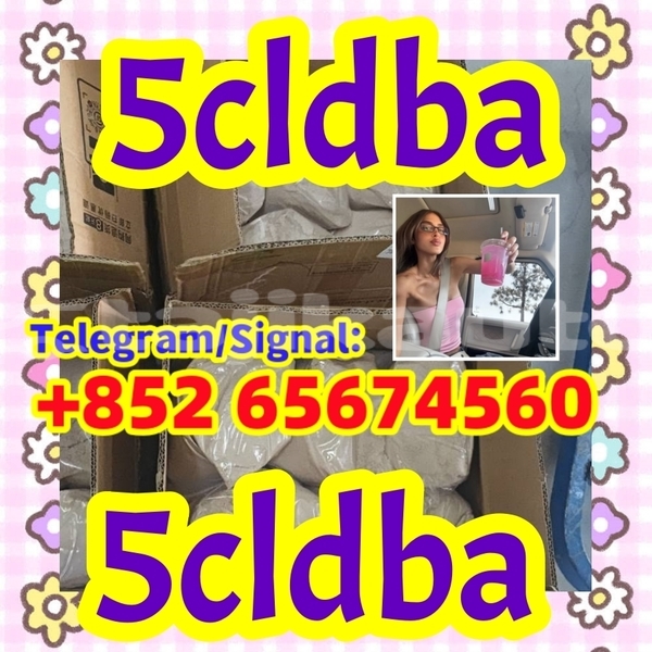 Big with watermark photo 2026 03 04 10 21 30 %e5%89%af%e6%9c%ac