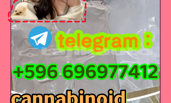 Medium with watermark 9.1