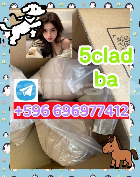Big with watermark 2.3