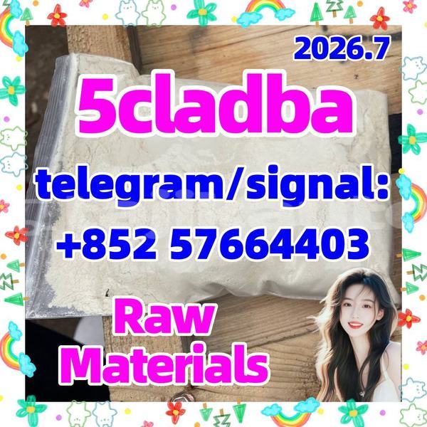 Big with watermark 53