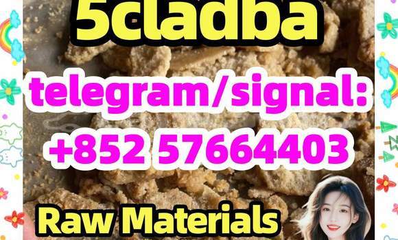 Medium with watermark 55