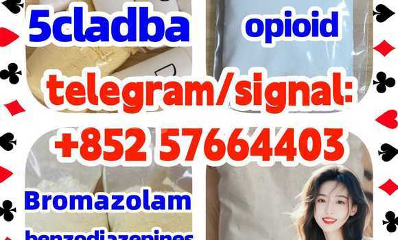 Medium with watermark z1