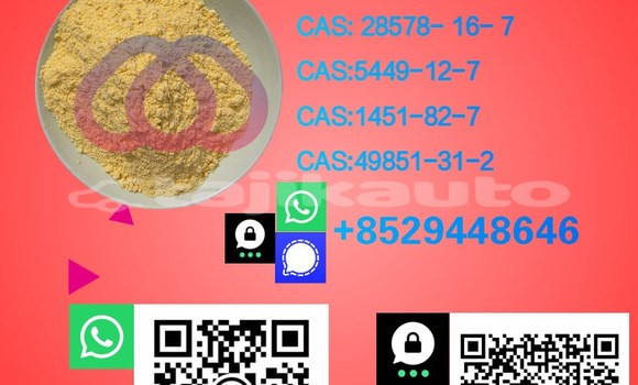 Medium with watermark %e5%89%af%e6%9c%ac 7.1 1