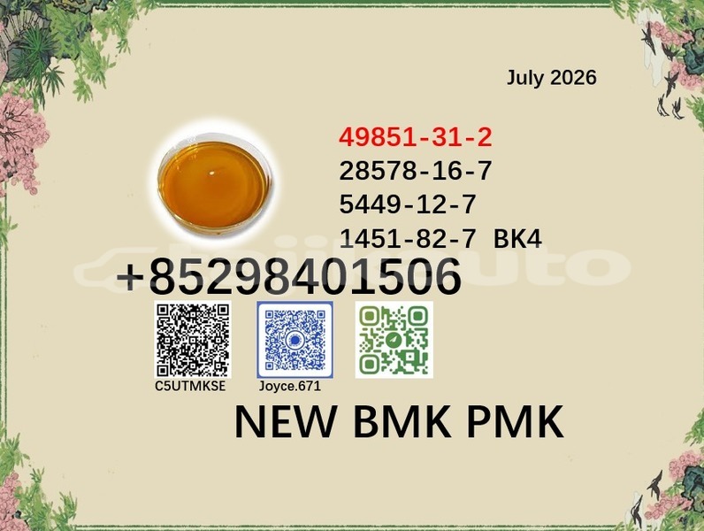 Big with watermark 49851 83