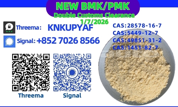 Buy Used Coggiola T Rex Black Car in Buston in Sughd Buy Used Coggiola T Rex Black Car in Buston in Sughd