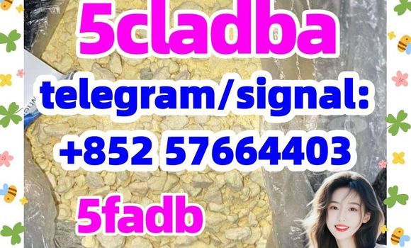 Medium with watermark 588