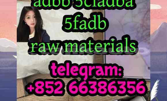 Medium with watermark 2