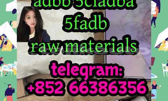 Medium with watermark 9