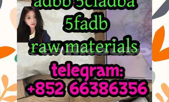 Medium with watermark 10