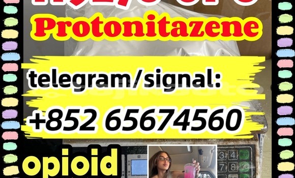 Buy Protonitazene CAS in Chkalov in Sughd Buy Protonitazene CAS in Chkalov in Sughd