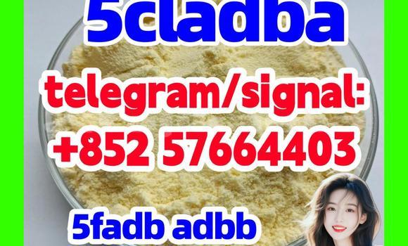 Medium with watermark 57