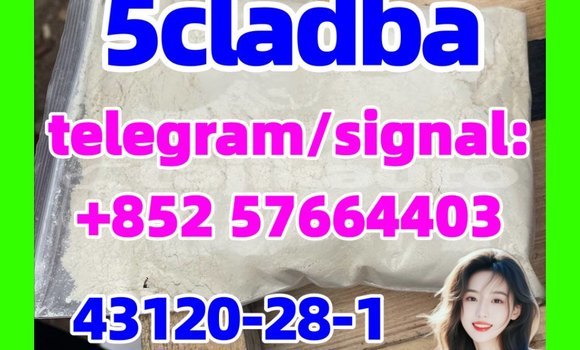 Medium with watermark 59