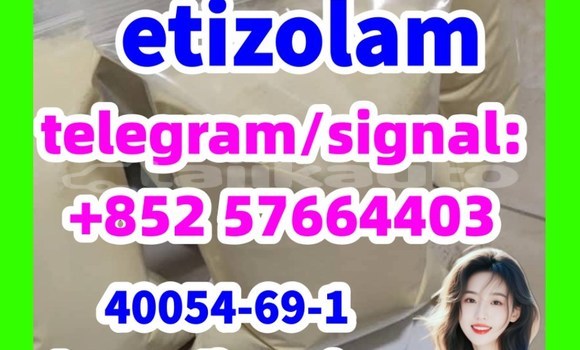 Buy etizolam 40054-69-1 in Chkalov in Sughd Buy etizolam 40054-69-1 in Chkalov in Sughd