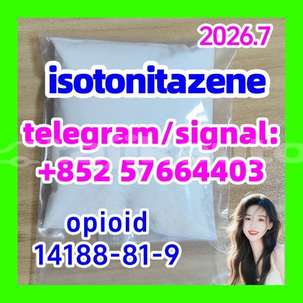 Big with watermark i2