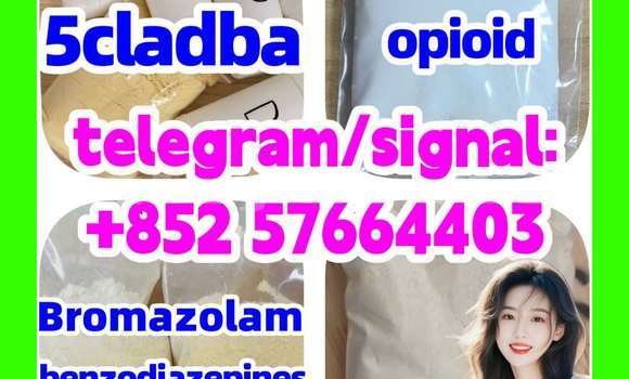 Medium with watermark z1