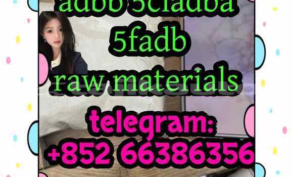 Medium with watermark 1