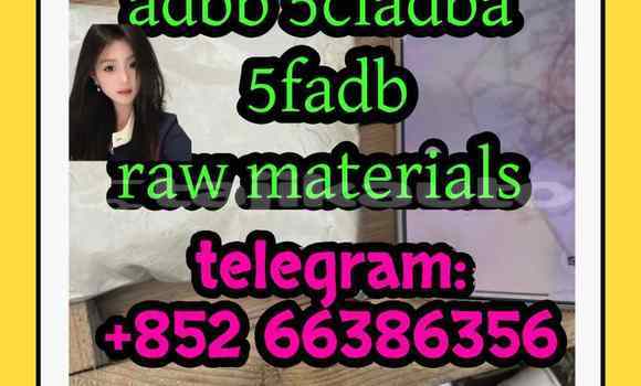 Medium with watermark 4
