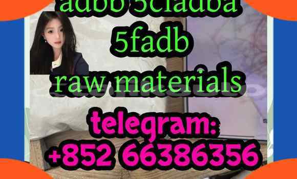 Medium with watermark 7