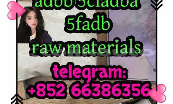 Medium with watermark 8