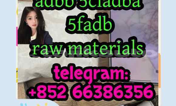 Medium with watermark 11