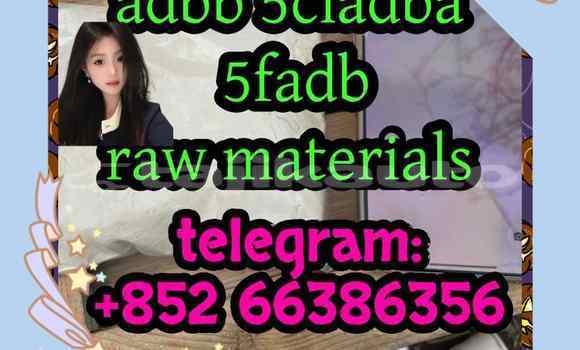 Medium with watermark 12