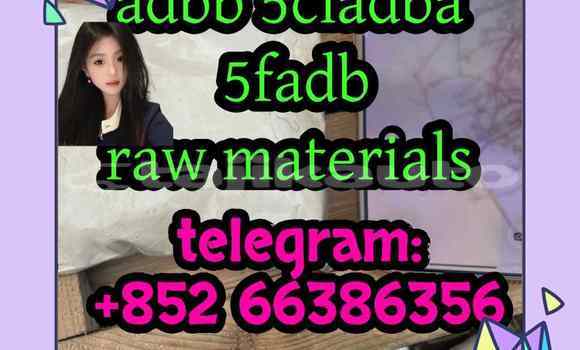 Medium with watermark 13