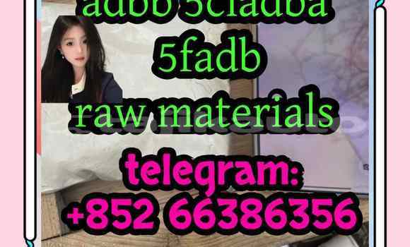 Medium with watermark 15