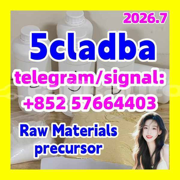 Big with watermark 51