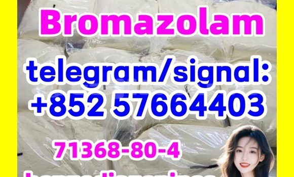 Medium with watermark b1
