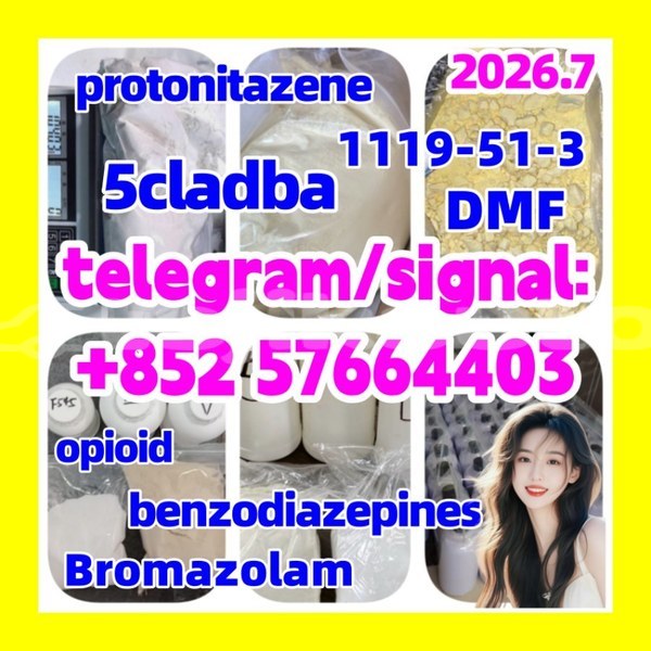 Big with watermark z1