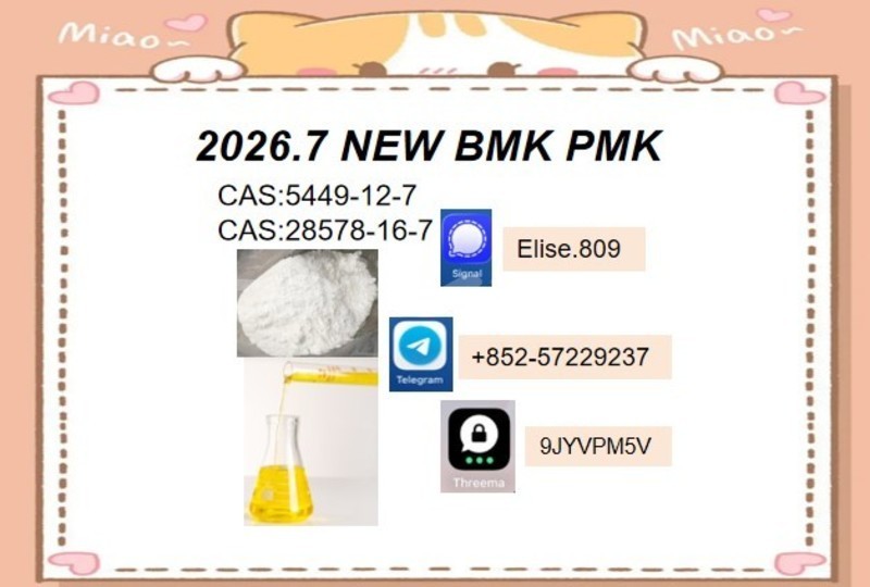 Big with watermark alpina b11 khatlon kumsangir 32532