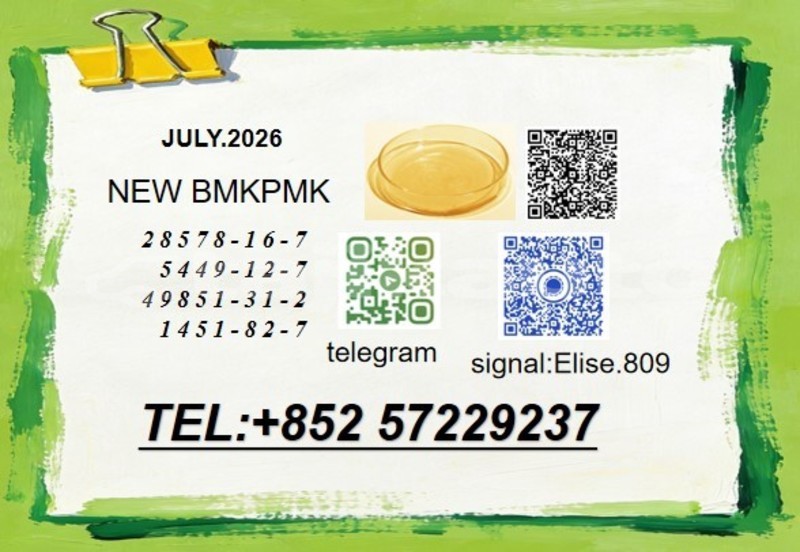 Big with watermark alpina b11 khatlon kumsangir 32532