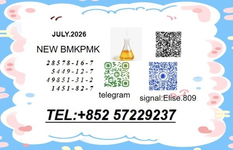 Big with watermark bertone freeclimber khatlon dangara 32534