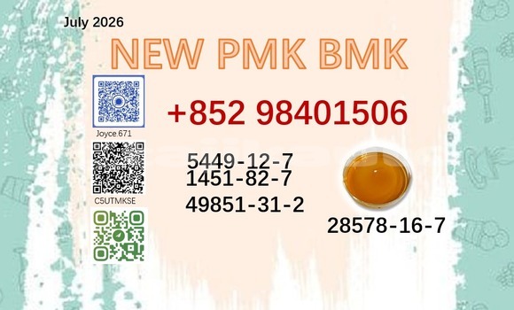 28578-16-7 pmk bmk