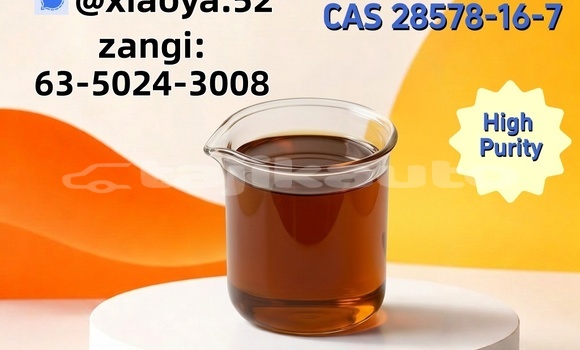 Buy PMK Oil CAS 28578-16-7 in Chkalov in Sughd Buy PMK Oil CAS 28578-16-7 in Chkalov in Sughd