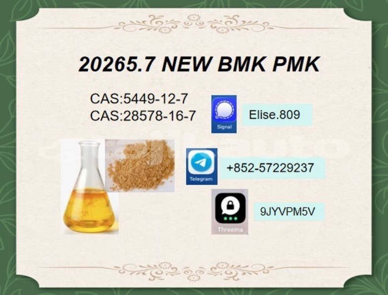 Big with watermark alpina b11 sughd chkalov 32588