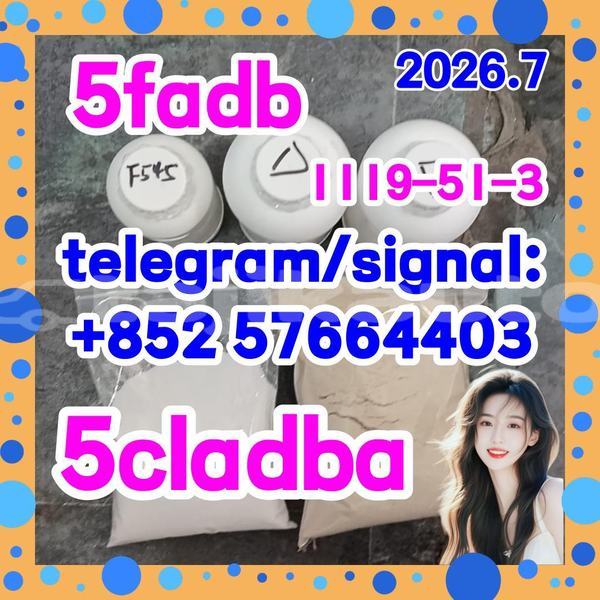Big with watermark 55