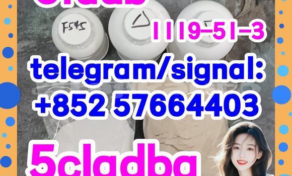Medium with watermark 55